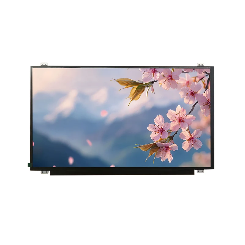 15.6 'HD ZABALDEA TFT IPS TFT LCD pantaila modulua