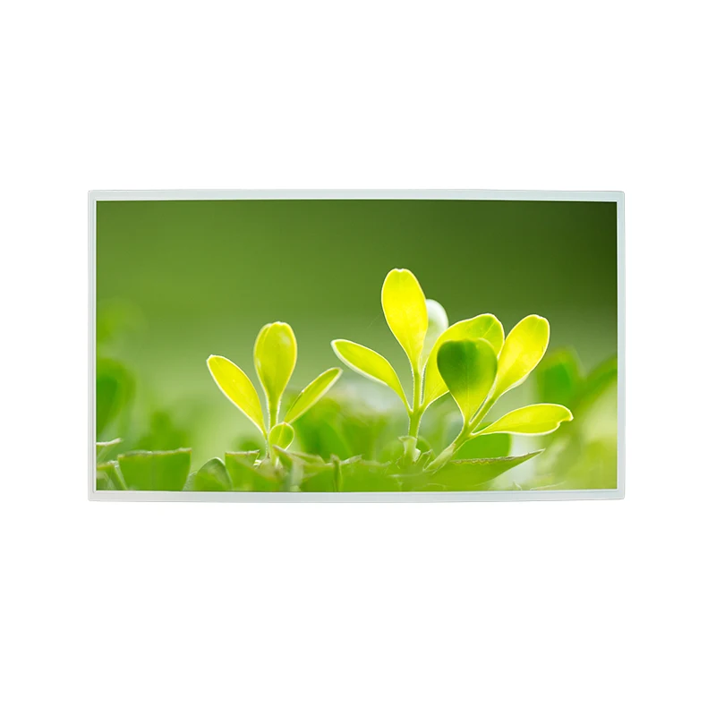 21,5 'Distira handiko FHD IPS Color TFT LCD pantaila modulua