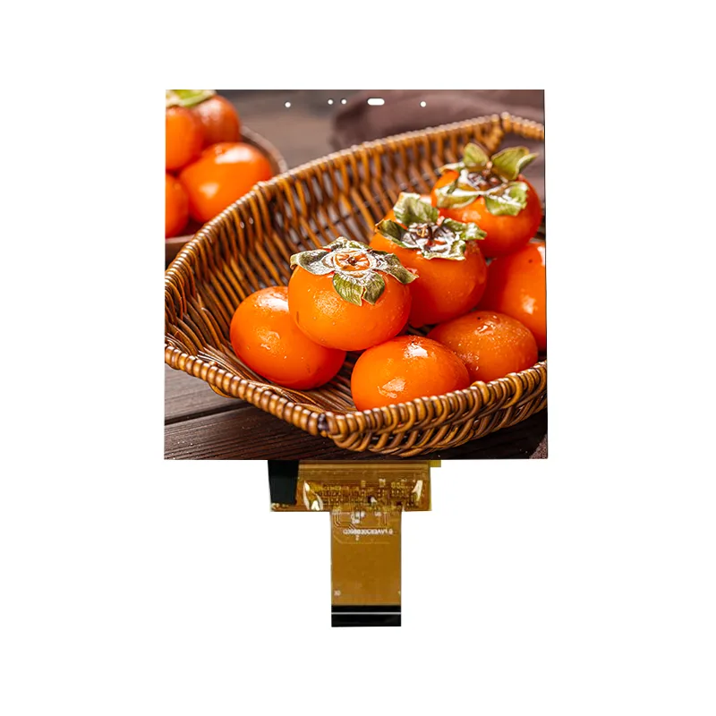 3,95 hazbeteko tamaina txikiko IPS zelula barruko ukipen-pantailaren modulua Smart Homerako 3,95 hazbeteko tamaina txikiko IPS zelula barruko ukipen-pantailaren modulua Smart Homerako