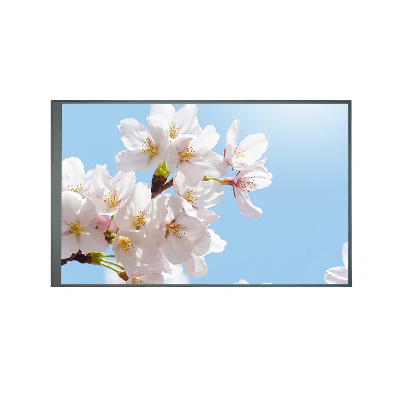 8,0 hazbeteko Normalean atzera TFT IPS TFT LCD pantaila modulua